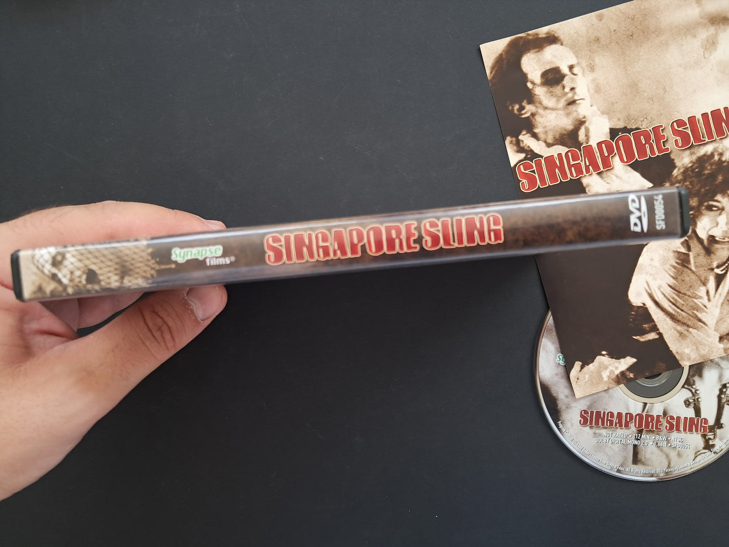 Singapore Sling DVD (Nikos Nikolaidis, 1990)