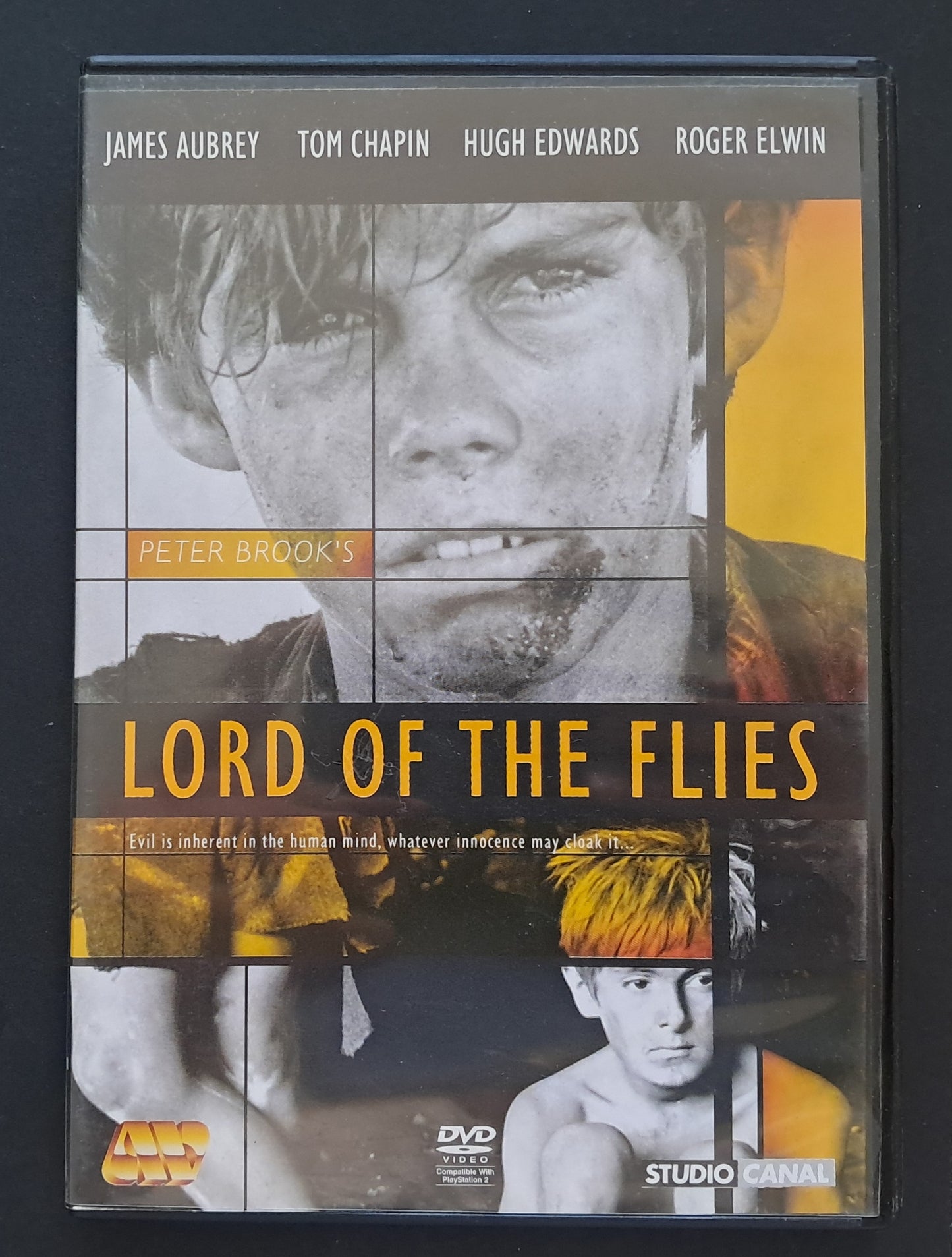 Lord of the Flies DVD ( Harry Hook, 1990)
