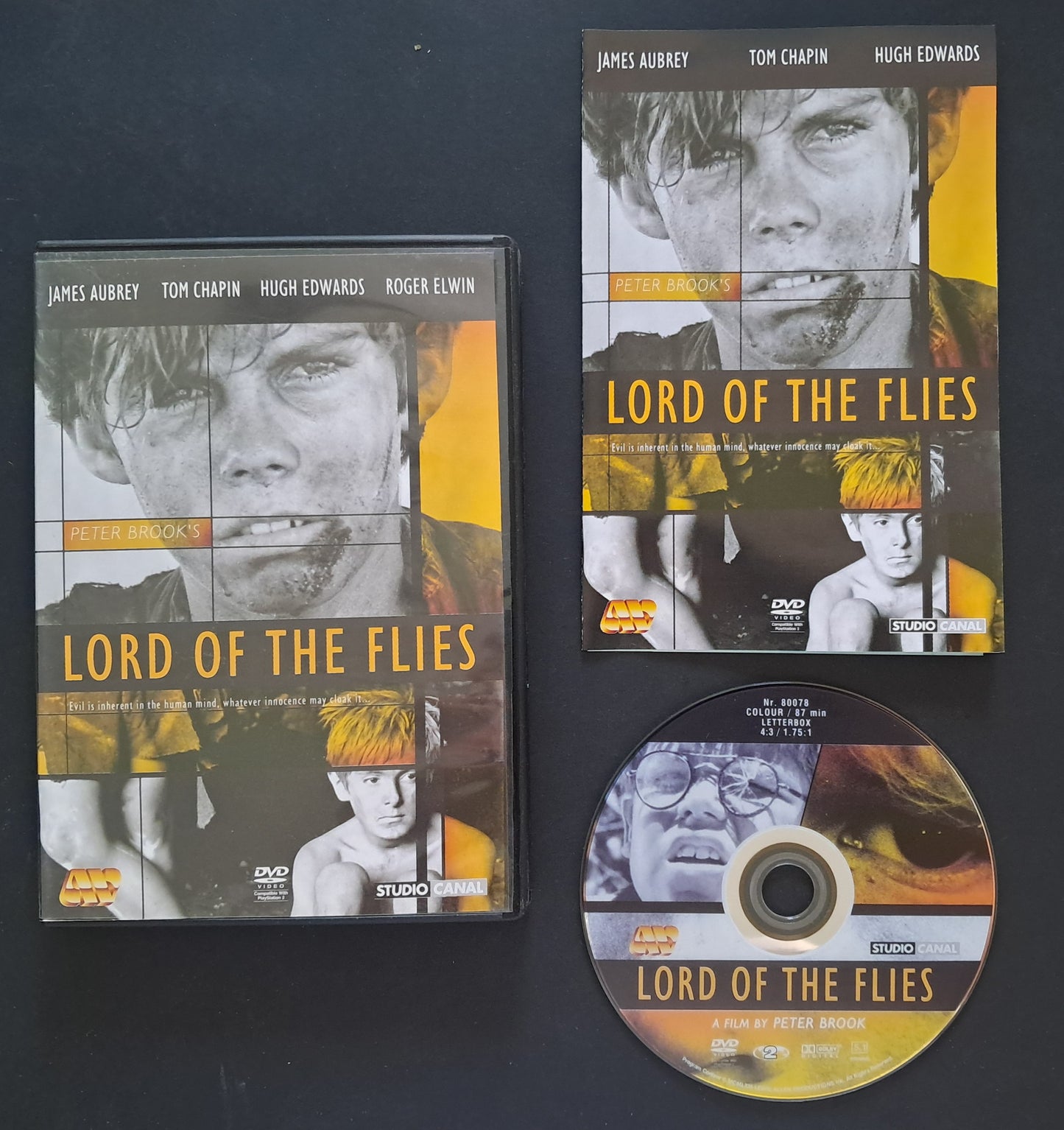 Lord of the Flies DVD ( Harry Hook, 1990)