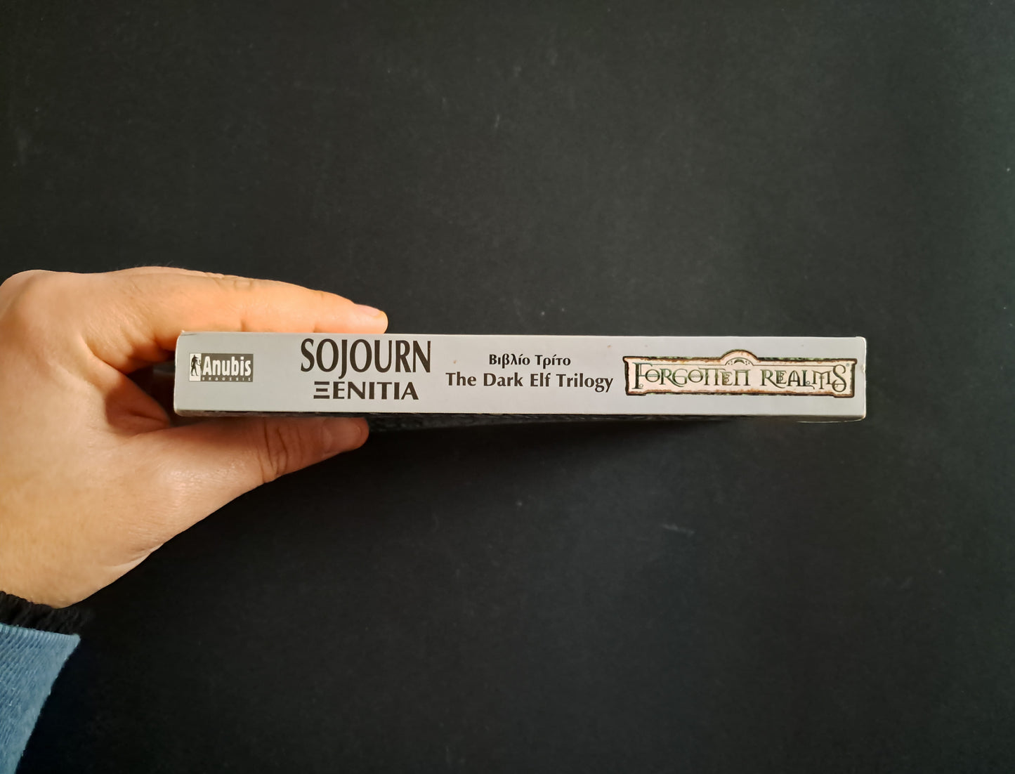 Forgotten Realms: Sojourn Ξενιτιά (SALVATORE A. R., Anubis)