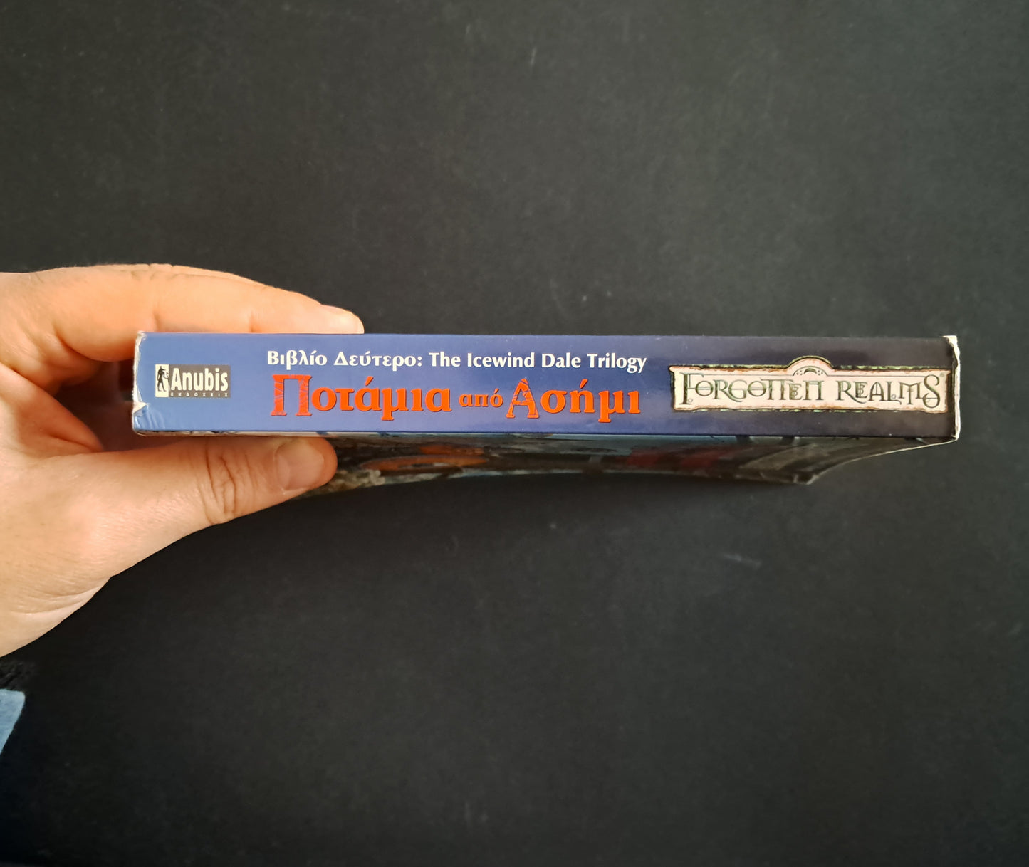 Forgotten Realms: Ποτάμια από Ασήμι (SALVATORE A. R., Anubis)