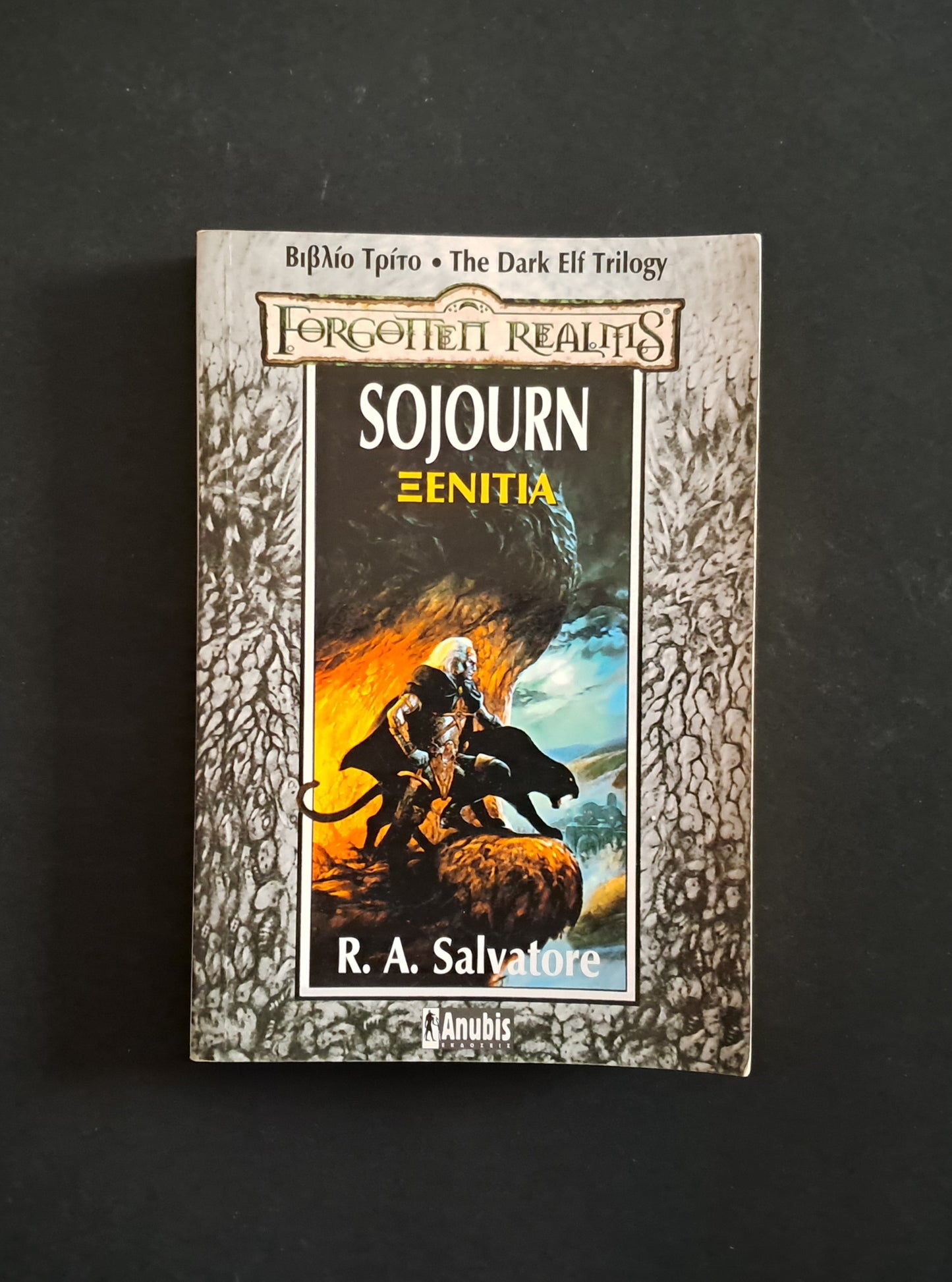 Forgotten Realms: Sojourn Ξενιτιά (SALVATORE A. R., Anubis)