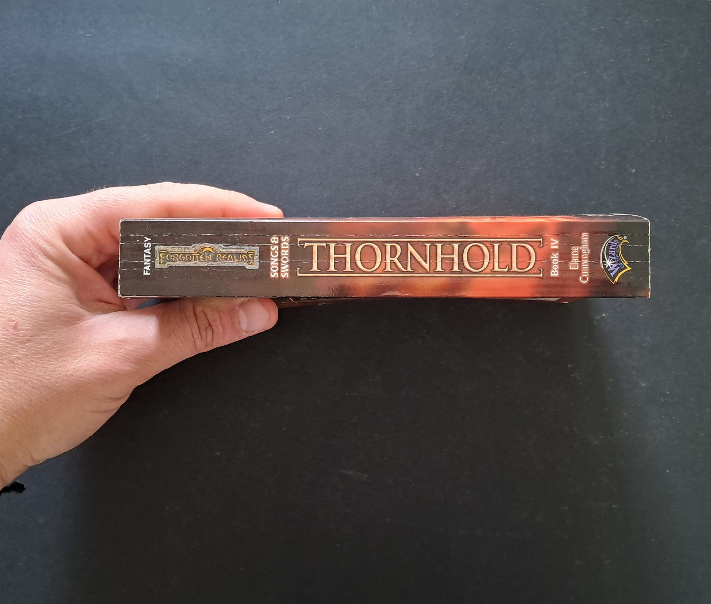 Thornhold Songs and Swords Book IV (Elaine Cunninghum, Forgotten Realms)