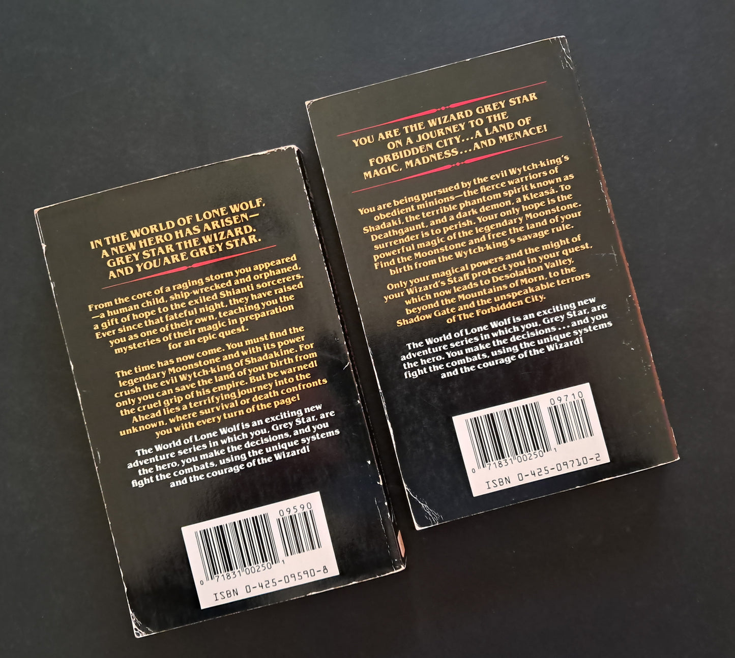 Lonewolf Gamebooks Grey Star the Wizard & The Forbidden City (Books 1 & 2)